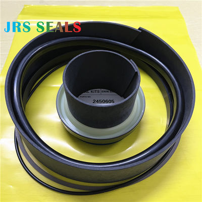 2450605 2863591 245-0605 286-3591 Bộ dụng cụ đóng dấu máy xúc xi lanh thủy lực Boom Arm Xô